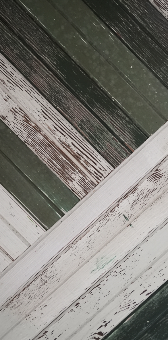 Petaluma ADU Bathroom Salvaged Wood Paneling