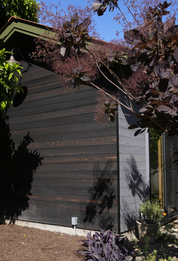 Petaluma ADU Exterior with Shou Sugi Bon Siding